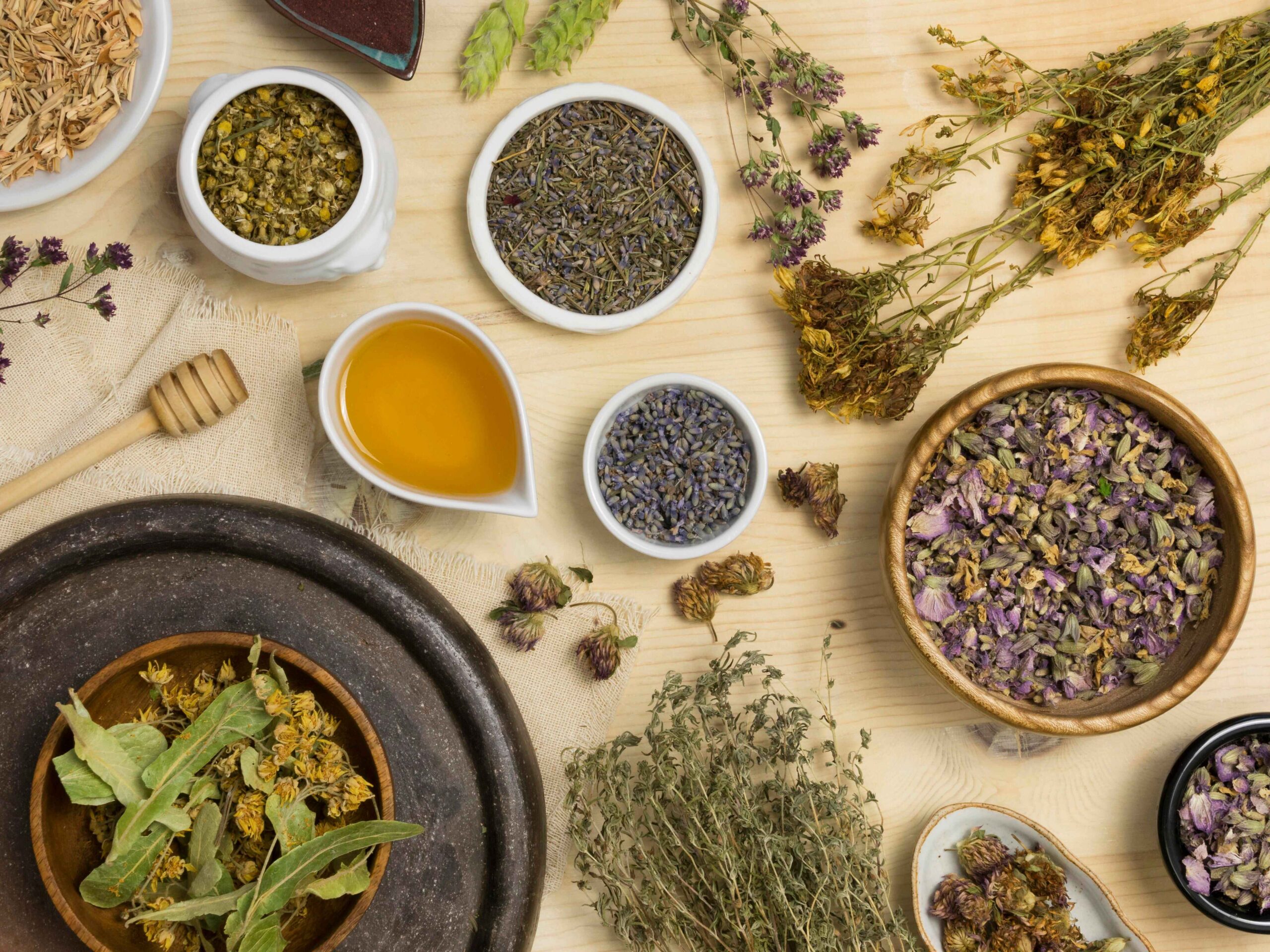 From Roots to Remedies: The Basics of Naturopathy Treatment